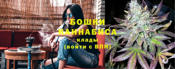 стафф Надым