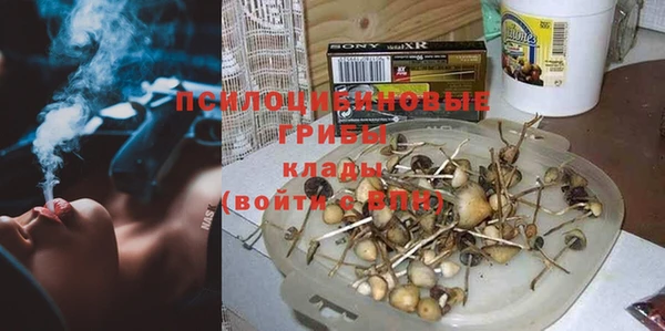 стафф Надым