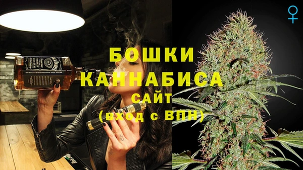 стафф Надым