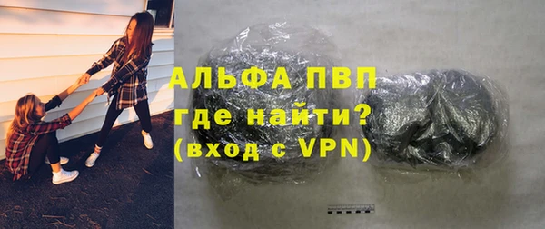 стафф Надым