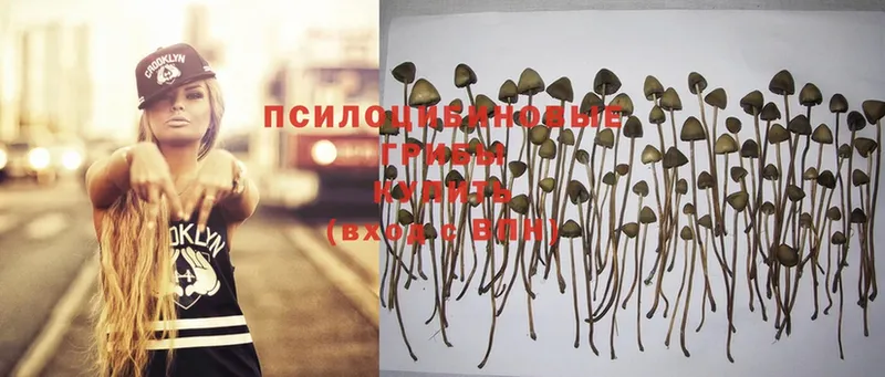 Галлюциногенные грибы MAGIC MUSHROOMS  продажа наркотиков  даркнет наркотические препараты  Голицыно 