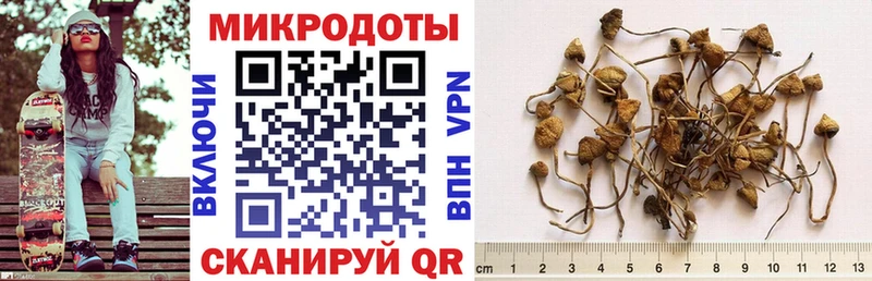 Псилоцибиновые грибы GOLDEN TEACHER  где купить наркоту  Голицыно 